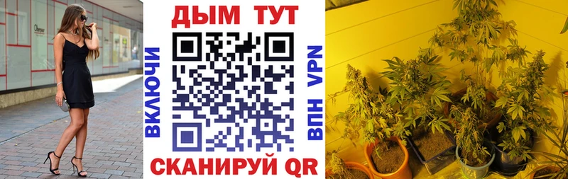 Наркошоп купить БУТИРАТ  Меф  КОКАИН  Alpha PVP  Галлюциногенные грибы  Зеленогорск