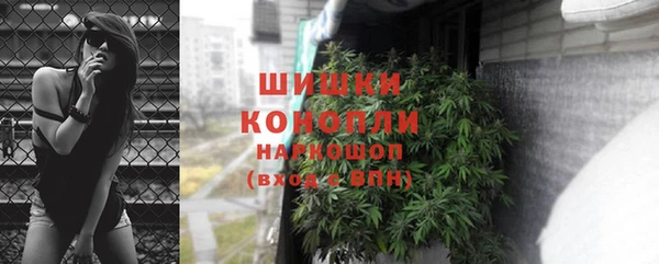тгк Инсар