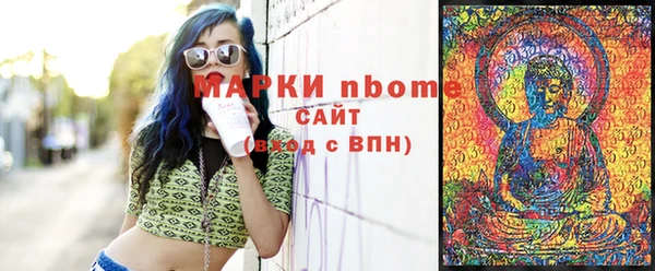 тгк Инсар
