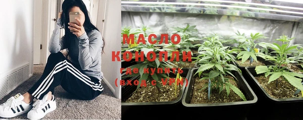 тгк Инсар