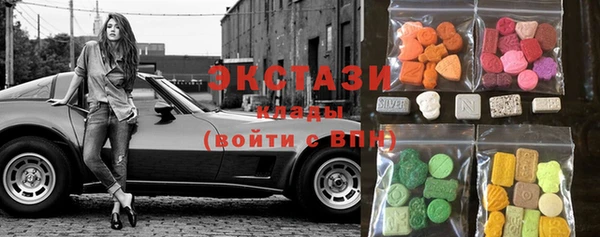 ECSTASY Каменка